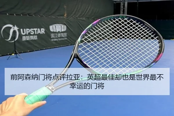 前阿森纳门将点评拉亚：英超最佳却也是世界最不幸运的门将